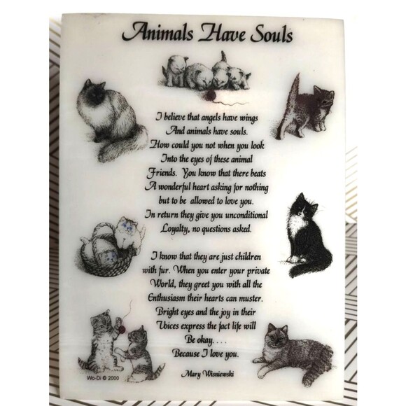 Animals Have Souls Cats Plaque Frame Sign Etched 8x6 - Picture 1 of 5